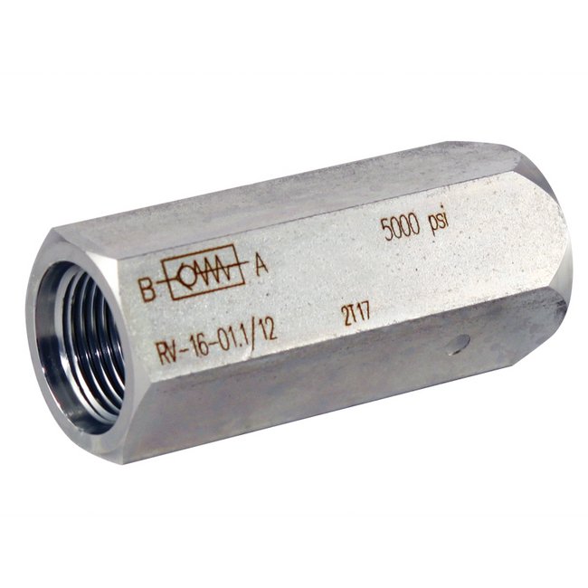 Carbon Steel In-Line Check Valve RV-25-01.X/5-0, 25 Nominal Size - Image 1