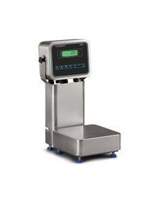 ZM Series BSG Torsion Base Bench Scale with ZM201 Indicator - Image 1