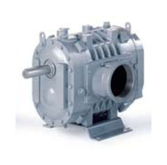 DuroFlow® 45 Series Industrial Positive Displacement Blower with Vacuum Pump - Image 1