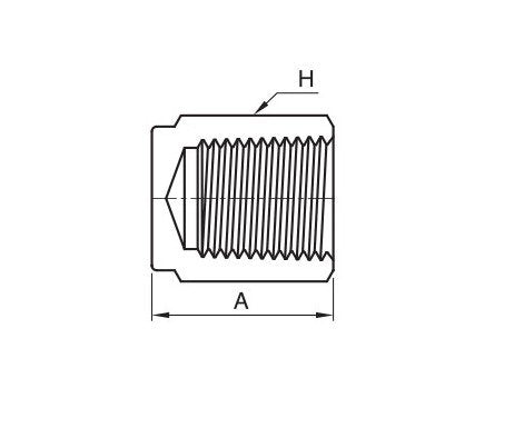 IPC Series 1" NPT Pipe Cap Fitting - Stainless Steel/Brass/Carbon Steel - Image 2