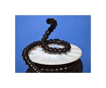 Flexible Loc-Line 3/4 Inch Hose - Image 1