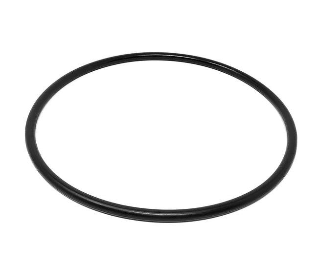 Neoprene O-Ring - Replaces APV® Part# 543SG15069 - Image 1
