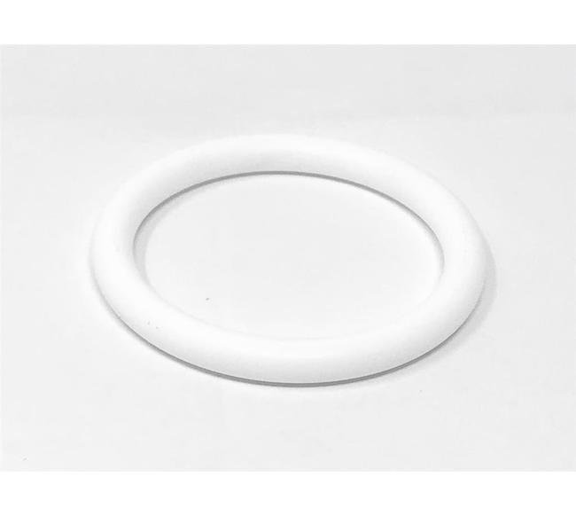 PVDF O-Ring 45x57x6mm FH24, Replaces APV® Part# 37HP770069 - Image 1