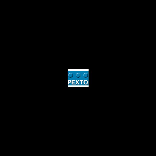 Pexto Metal Shears - Image 1