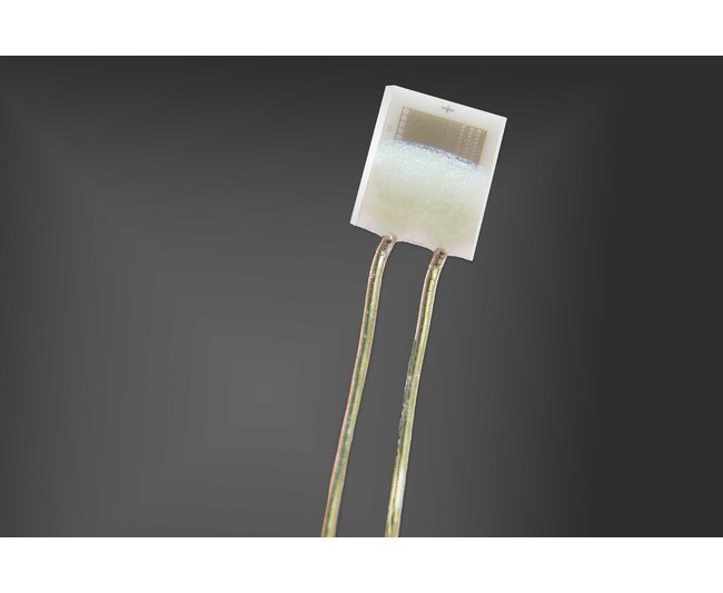 IST MiniSens Thin-Film Platinum RTD Temperature Sensor - Image 1