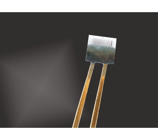 IST P0K1.202.3FW.A.007 Platinum RTD Temperature Sensor - Image 1