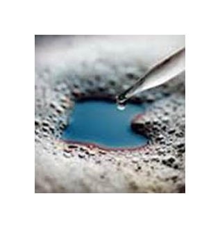 AMS Kosher Certified TRANS-FG2K Food Grade Defoamer - Image 1