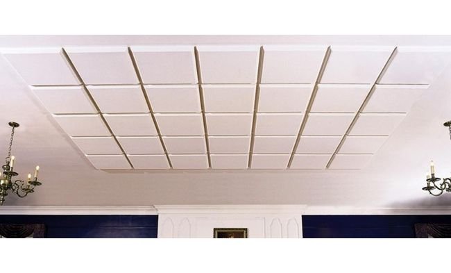 Artex Contour 2-1/8 Inch (in) Thickness Grid Ceiling Tile - Image 1