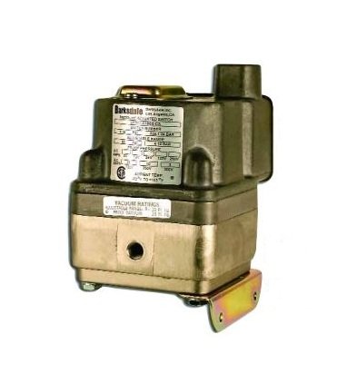 Barksdale Float 1 Level Switch for Liquids - BLS 1950 - Image 1