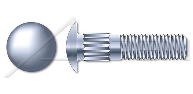 A307 Steel Round Head Ribbed Neck Part Thread Zinc Carriage Bolt - Image 1
