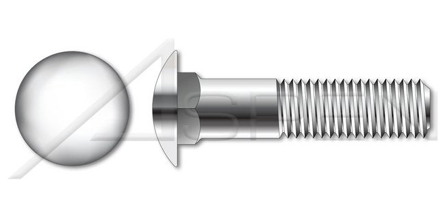 A2 Stainless Steel Metric Round Head Square Neck DIN 603/ISO 8677 Carriage Bolt - Image 1