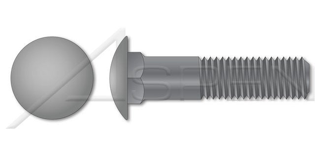 A307 Steel Round Head Square Neck Undersized Body Part Thread Plain Carriage Bolt - Image 1