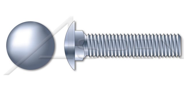 A307 Steel Round Head Square Neck Full Thread Zinc Carriage Bolt - Image 1
