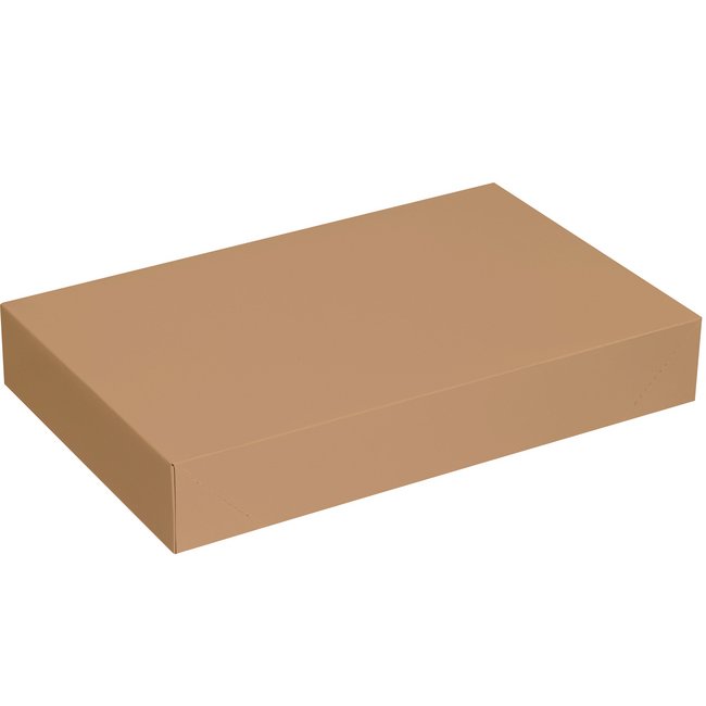 Alpha Kraft Apparel Box, 19x12x3 in - Image 1