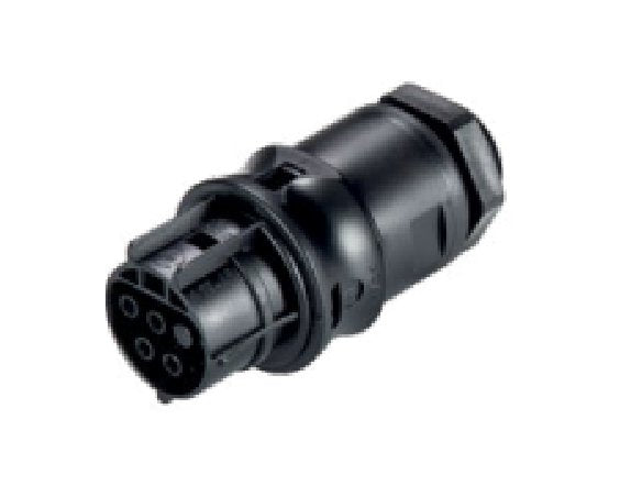 Wieland RST20I4 Female Device Connector, Light Gray, Straight Angle Plug - Image 1