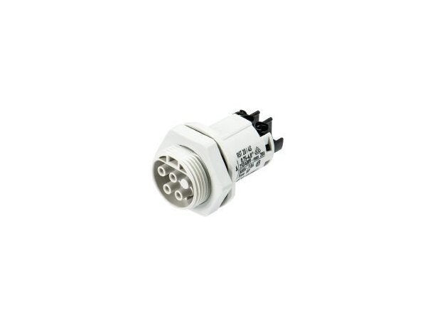 Wieland RST20I4 Female Device Connector, Straight Angle, Light Gray - Image 1