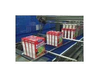 Brandpac BPMP-5000 Continuous Motion Shrink Wrapping System - Image 3