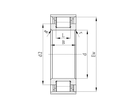 RN Full Complement Cylindrical Roller Bearings without Outer Ring - Image 2
