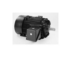 Marathon Electric Motors Cooling Tower XRI 286T 25/6.25 HP - Image 1