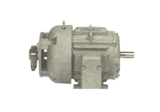 GE Adjustable Speed Drive Motor - Image 1