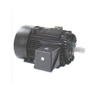 Marathon Electric Medium Voltage 2300/4000V Totally Enclosed Motors