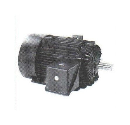 Marathon Electric Medium Voltage 2300/4000V Totally Enclosed Motors - Image 1