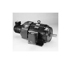 Marathon Blue Max 2000 Inverter Duty Electric Motor - Image 1