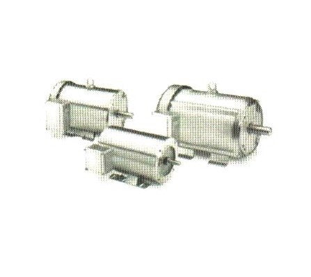 Marathon Stainless Steel Washdown Duty Electric Motor - Image 1