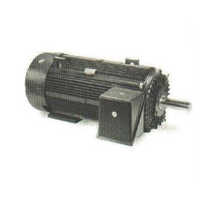 Marathon Electric 5000 Frame Medium Voltage Motor 2300/4000V - Image 1