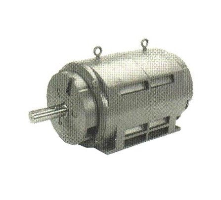 Marathon Electric Medium Voltage 2300/4000V Dripproof Motors - Image 1