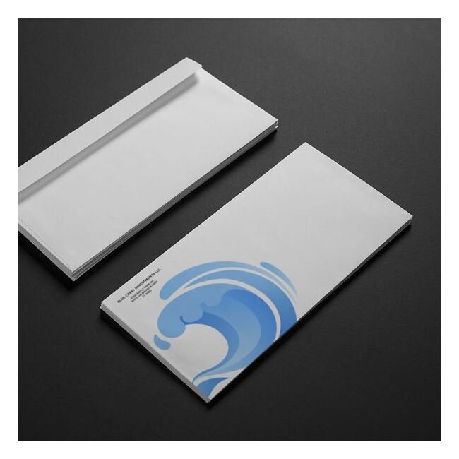 Professional Full-Color #10 Envelopes (Pack of 500) - Image 1