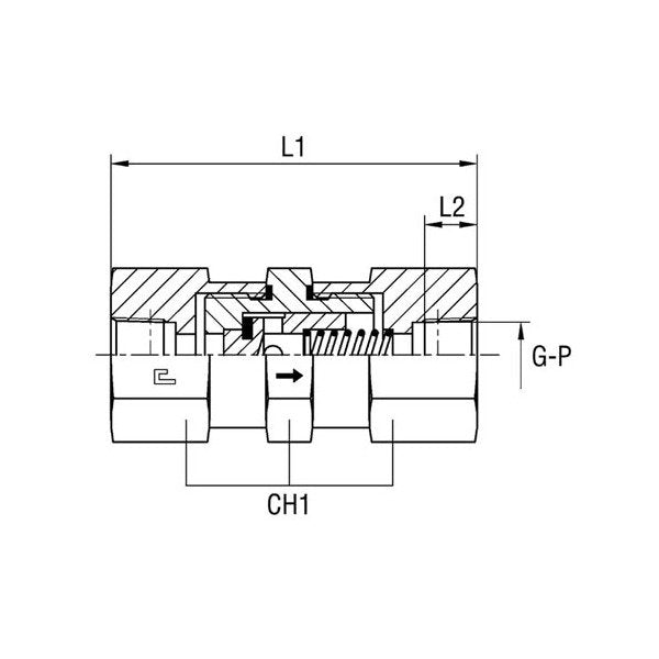 Heavy Duty Female Non Return Valve, Thread BSP Taper - 3/4, Carbon Steel - Image 1