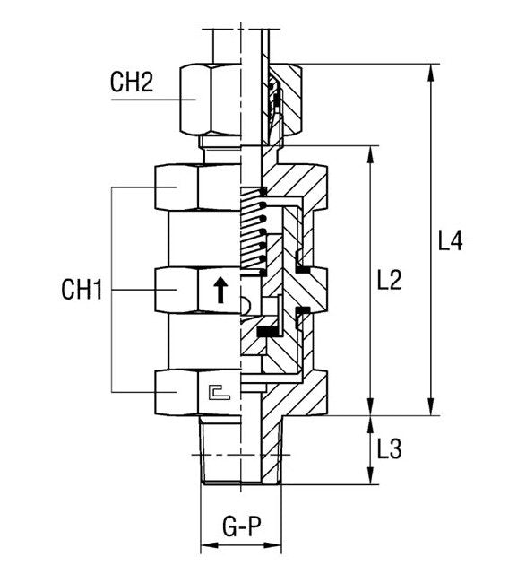 Male Stud Non Return Valve BSP Taper - Equipped B4 Ring - Image 1