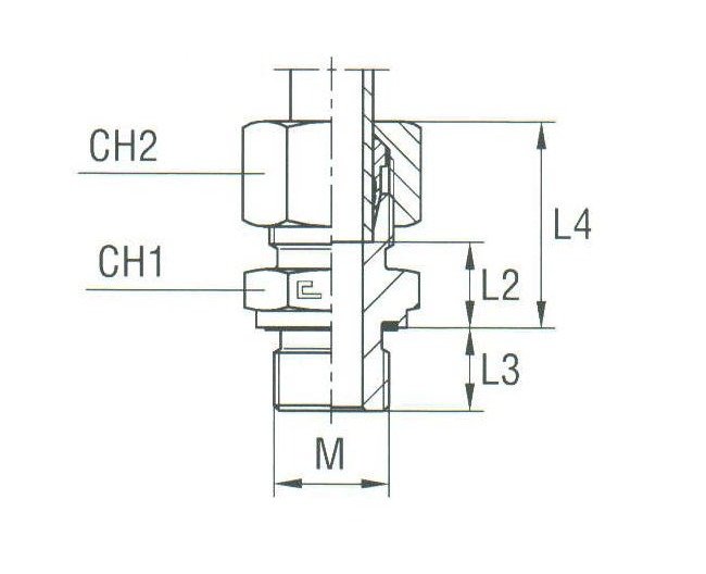Male Stud Coupling with Elastomer Seal - DIN 2353 Compression Fitting - Image 2