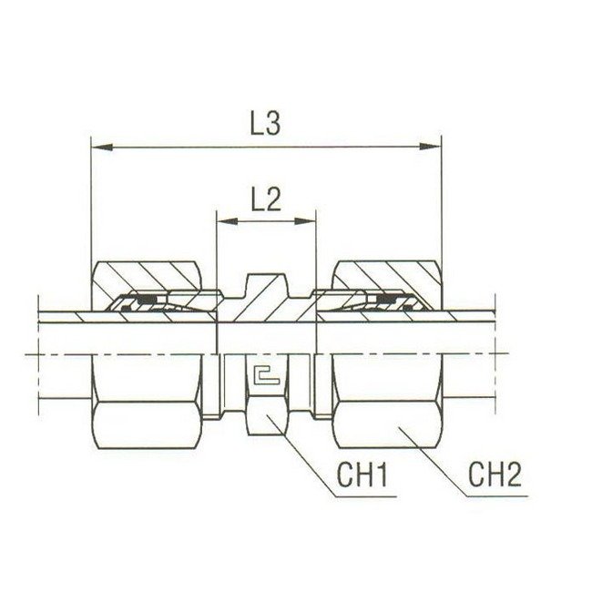 DIN 2353 Straight Coupling - Carbon Steel Body with Equipped B4 Ring - Image 2