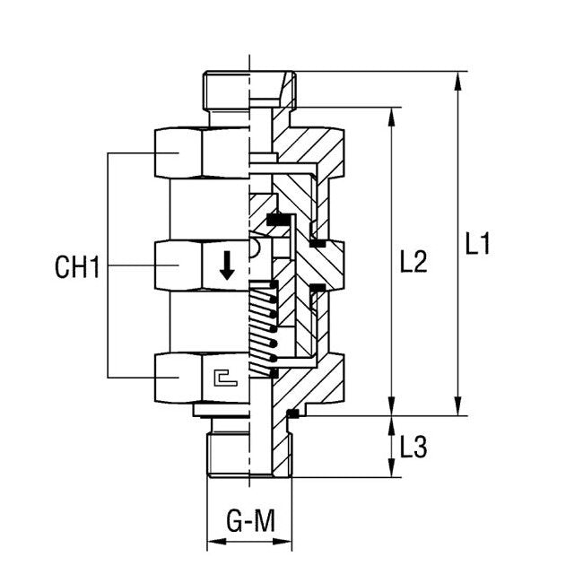 Metric Parallel Male Stud Non Return Valve - Carbon Steel Body - Image 1