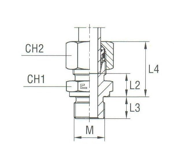 Heavy Duty Male Stud Coupling Metric Parallel - Equipped B4 Ring - Image 2