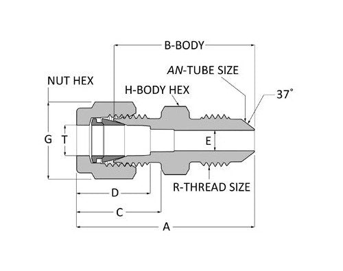 Duolok AN Male Connector - 1/16 Tube x 1/8 AN, 316 SS - Image 2