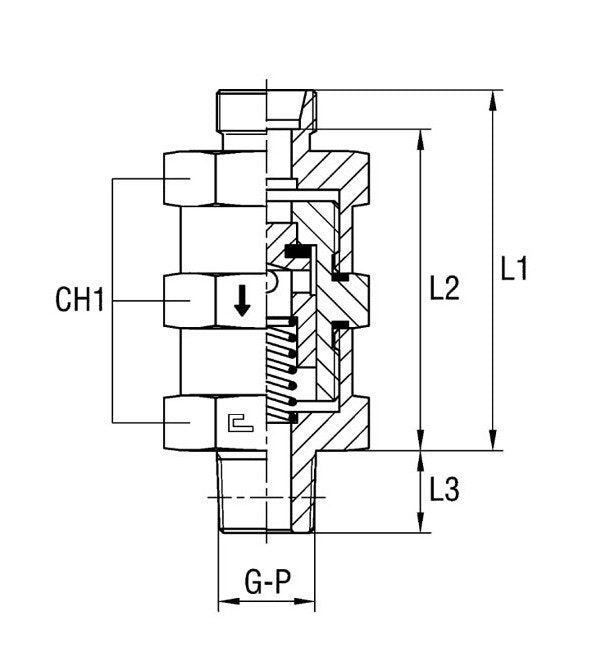 Male Stud Non Return Valve Thread BSP Taper - Carbon Steel Body - Image 1