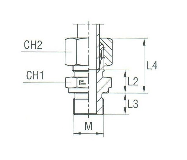 Male Stud Coupling Metric Parallel - Stainless Steel DIN 2353 Compression Fitting - Image 2