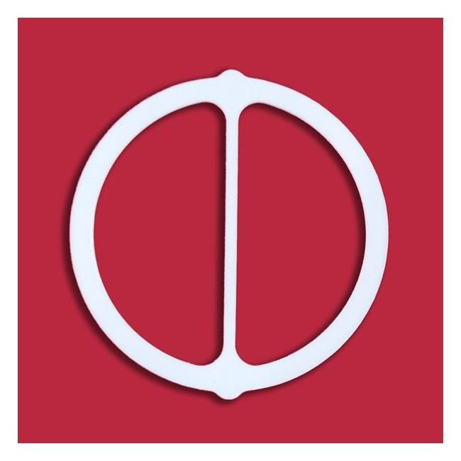 Enerquip 6-Inch 2 Pass PTFE Gasket for Industrial Use - Image 1