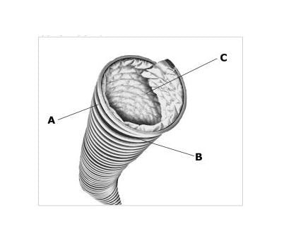 0000116433 710120 Exhaust (EF2) Hose - Image 2