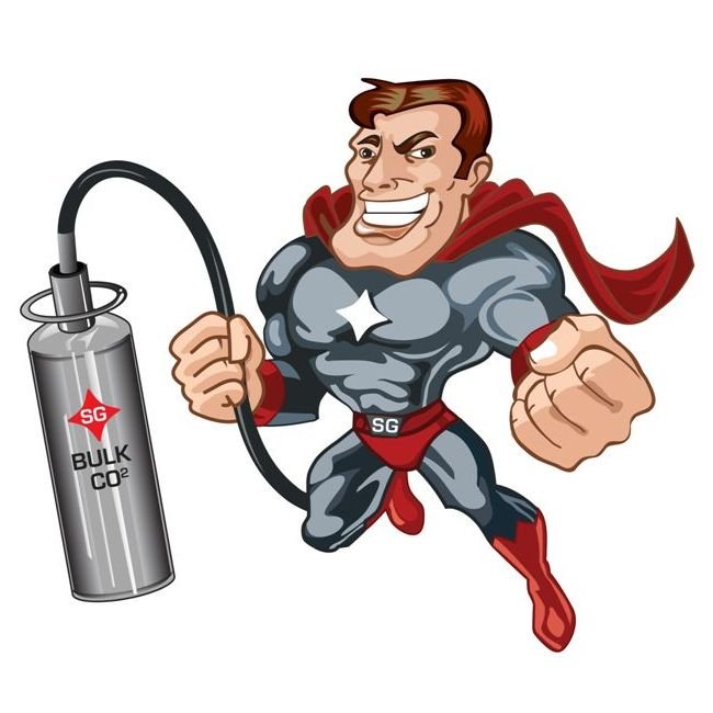 Bulk Carbon Dioxide Storage System - Image 2