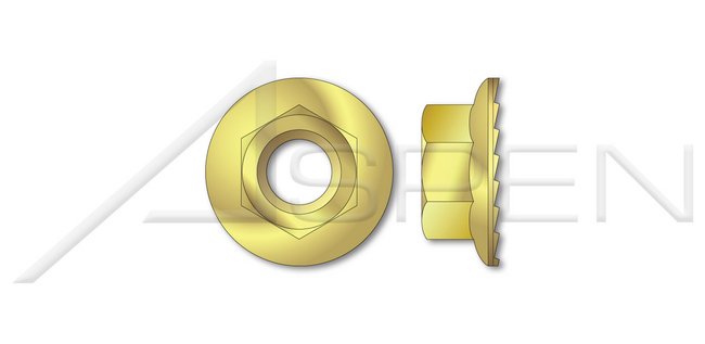 Brass Hex Flange Nut with Serrations - Image 1