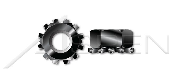 Hex K 18-8 Stainless Steel Black Oxide Lock Keps Nut - Image 1