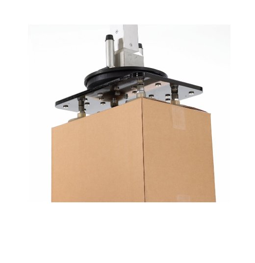 SOCO PRD Double Palletizing Robots - Image 4