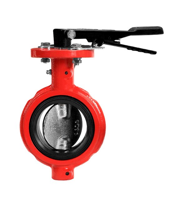 2 Inch Ductile Iron and 316SS Disc Butterfly Valve with Notched Body - Image 1