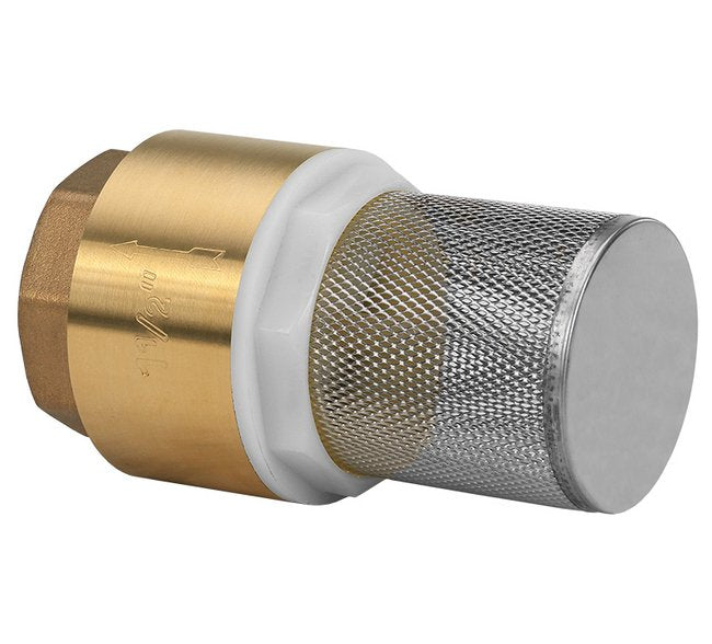Spring Loaded Brass Check Valve with Filter - 1 1/4 in Size - Image 1