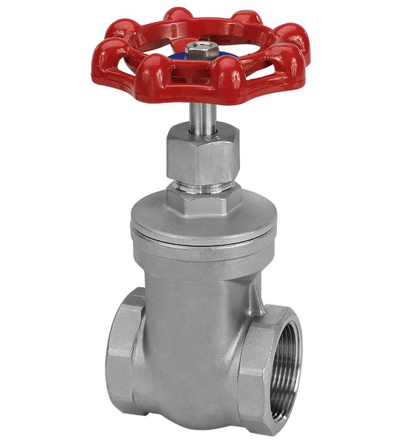 1/2 Inch 316 Stainless Steel Gate Valve - Image 1