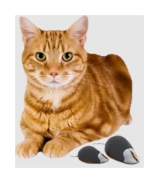 Untangler® 7 Inch Cat Brush with Rotating Plastic Teeth - Image 5